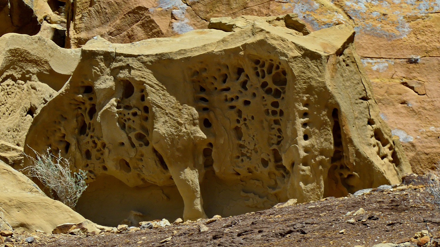 Weird rock on the Petroglyph trail
